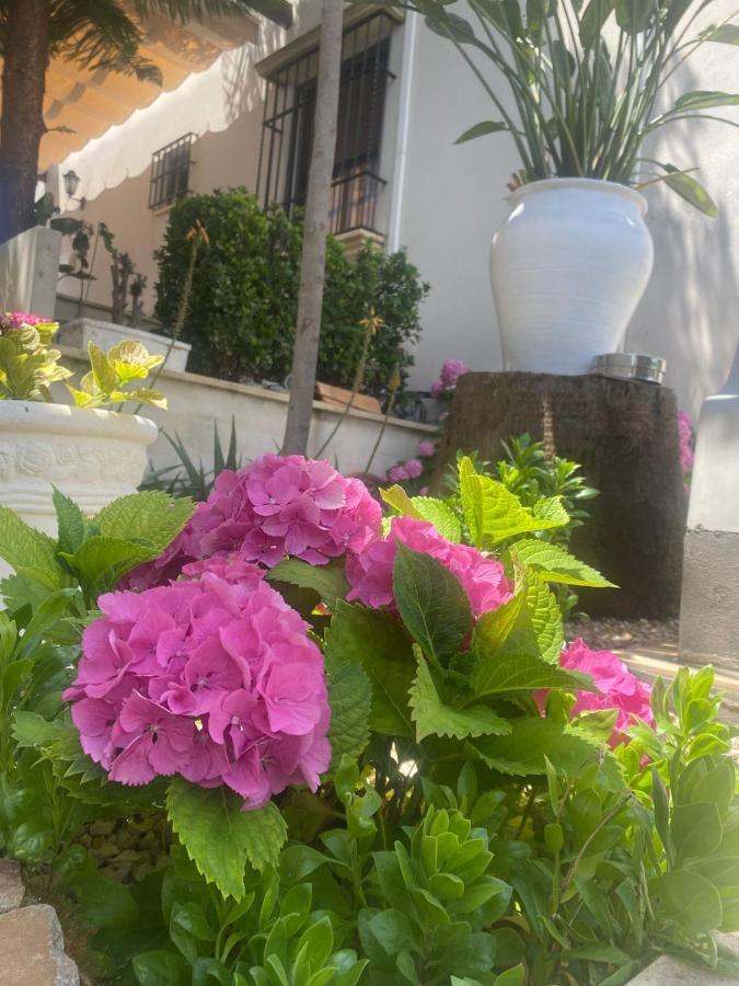 Casa Los Encinares Córdoba Exterior foto